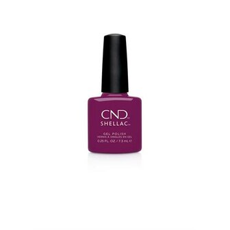  CND Shellac Secret Diary