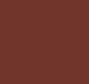 LI Pigments Tuscany Brown 15 ml &ndash; Oefenpigment